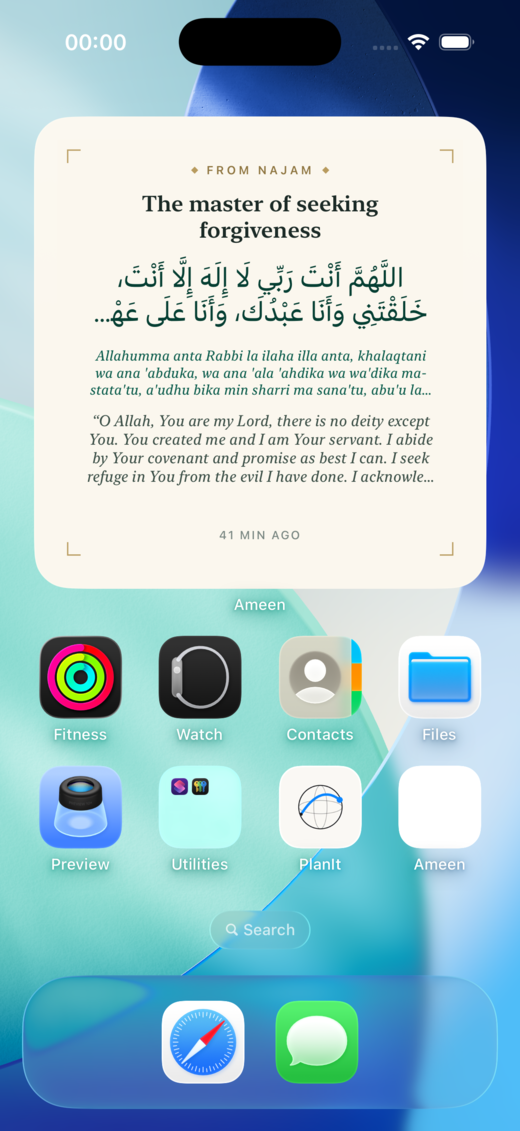 Large home screen widget