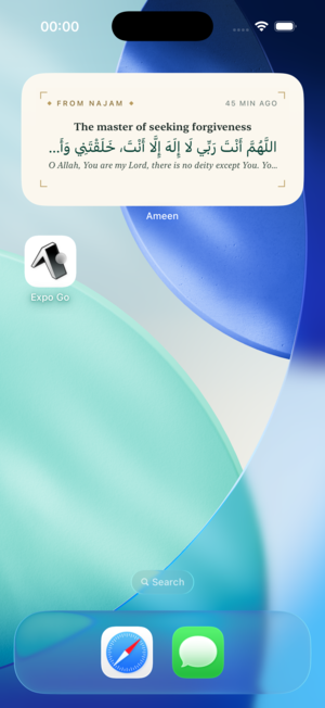 Small home screen widget